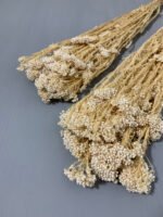 Озотамнус стабілізований вибілений перламутровий 70 г - Озотамус стабілізований