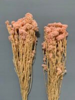 Озотамнус стабілізований світло-рожевий 70 г - Озотамус стабілізований