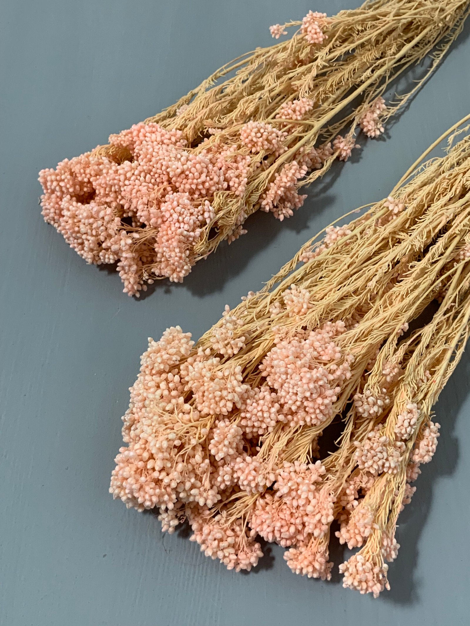 Озотамнус стабілізований світло-рожевий 70 г - Озотамус стабілізований Озотамнус стабілізований світло-рожевий 70 г - Озотамус стабілізований