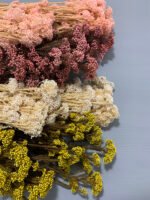 Озотамнус стабілізований вибілений перламутровий 70 г - Озотамус стабілізований