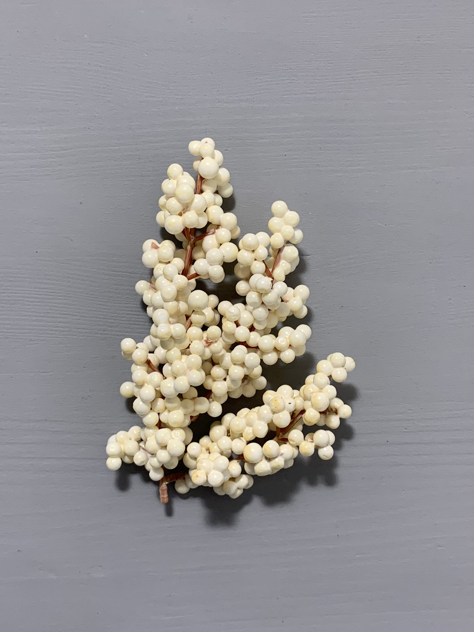 Штучні ягідки без стебла, молочні 12 см. N08-12. - Штучні ягоди та плоди Штучні ягідки без стебла, молочні 12 см. N08-12. - Штучні ягоди та плоди