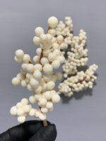 Штучні ягідки без стебла, молочні 12 см. N08-12. - Штучні ягоди та плоди