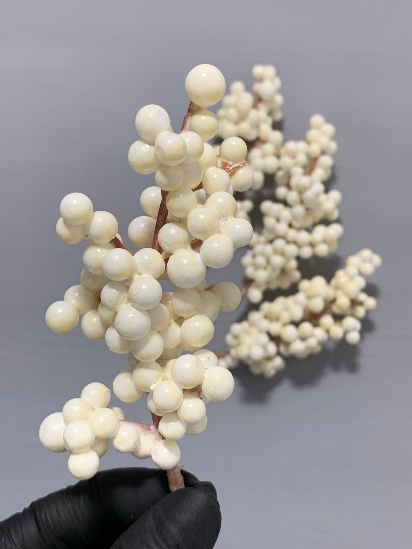 Штучні ягідки без стебла, молочні 12 см. N08-12. - Штучні ягоди та плоди Штучні ягідки без стебла, молочні 12 см. N08-12. - Штучні ягоди та плоди