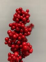 Штучні ягідки без стебла червоні 12 см. N05-12. - Штучні ягоди та плоди