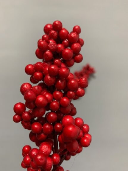 Штучні ягідки без стебла червоні 12 см. N05-12. - Штучні ягоди та плоди
