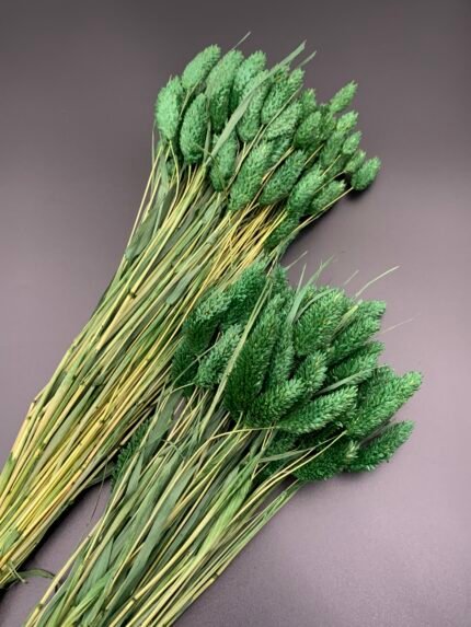 Фаляріс темно-зелений (90 гр) - Фаляріс