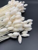 Фаляріс білий (90 гр) - Фаляріс