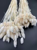 Фаляріс білий (90 гр) - Фаляріс