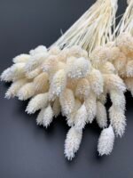 Фаляріс білий (90 гр) - Фаляріс