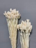 Фаляріс білий (90 гр) - Фаляріс