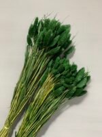 Фаляріс темно-зелений (90 гр) - Фаляріс