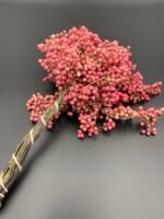 Шинус (Перець) рожевий 5 гілок.