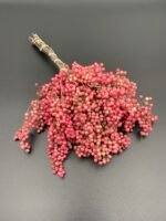 Шинус (Перець) рожевий 5 гілок.