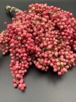 Шинус (Перець) рожевий 5 гілок.