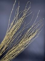 Гілки берези фарбовані золото ( 10 гілок ) - Гілки