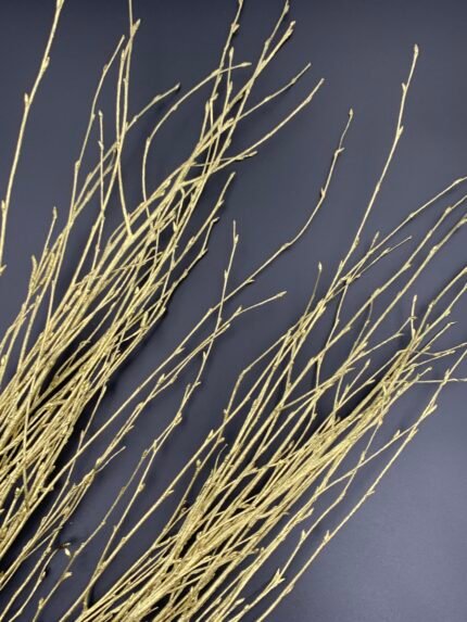 Гілки берези фарбовані золото ( 10 гілок ) - Гілки
