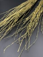 Гілки берези фарбовані золото ( 10 гілок ) - Гілки