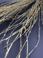 Гілки берези фарбовані золото ( 10 гілок ) - Гілки