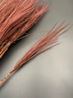 Ковила натуральна коричнева - Ковила