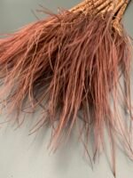 Ковила натуральна коричнева - Ковила