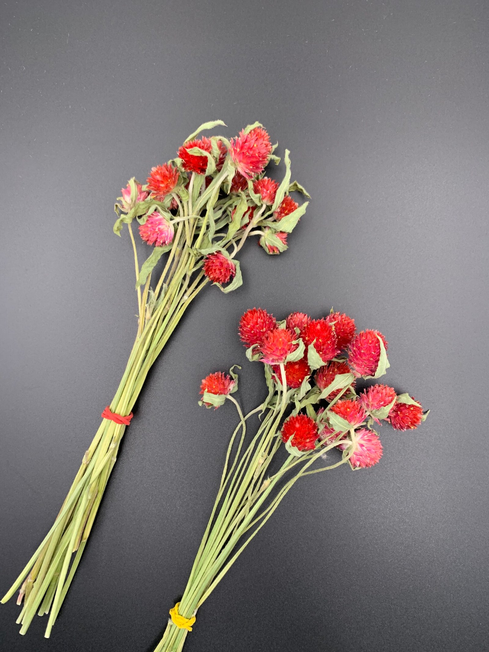 Гомфрена червона, сухоцвіт, 15 шт - Дрібні квіти Гомфрена червона, сухоцвіт, 15 шт - Дрібні квіти