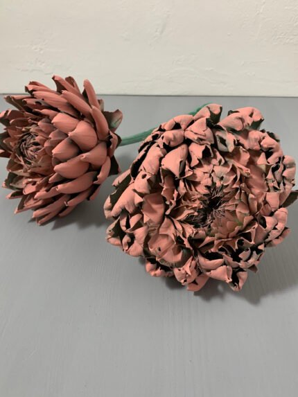 Артишок рожево-зелений - Артишок