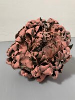 Артишок рожево-зелений - Артишок