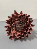 Артишок рожево-зелений - Артишок