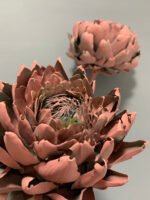 Артишок рожево-зелений - Артишок