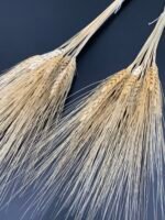 Пшениця Жізель висвітлена 20 шт - Пшениця