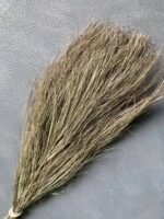 Листя фінікової пальми міні 10 шт - Пальмове листя