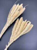 Сетарія висвітлена 15 шт - Сетарія