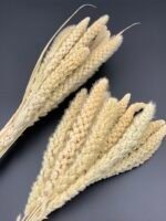 Сетарія висвітлена 15 шт - Сетарія