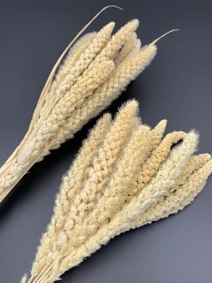 Сетарія висвітлена 15 шт - Сетарія