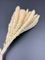 Сетарія висвітлена 15 шт - Сетарія