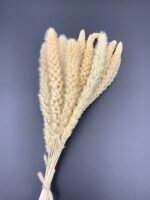 Сетарія висвітлена 15 шт - Сетарія