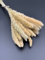 Сетарія висвітлена 15 шт - Сетарія