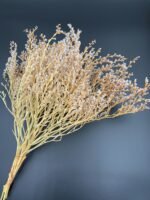 Статиця татарська висвітлена ( 40 гр / 5 гілок ) - Статиця