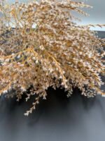 Статиця татарська висвітлена ( 40 гр / 5 гілок ) - Статиця