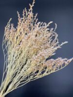 Статиця татарська вибілена ( 40 гр / 5 гілок ) - Статиця