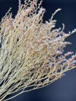 Статиця татарська вибілена ( 40 гр / 5 гілок ) - Статиця