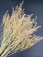 Статиця татарська вибілена ( 40 гр / 5 гілок ) - Статиця