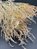 Статиця татарська вибілена ( 40 гр / 5 гілок ) - Статиця