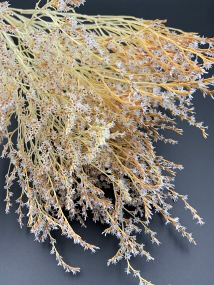 Статиця татарська вибілена ( 40 гр / 5 гілок ) - Статиця