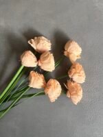 Ранункулюс з шоли рожевий 6 см - Шола