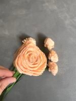 Ранункулюс з шоли рожевий 6 см - Шола