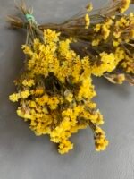 Статиця пастельно-жовта, сухоцвіт ( 10 гілок ) - Статиця