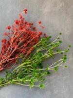 Ерінгіум на стеблі червоний 40 г - Ерінгіум