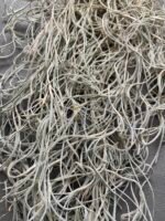 Мох стабілізований Тіландсія (Tillandsia Usneoides) сизий зелений - Штучні рослини