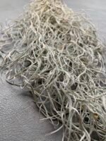 Мох стабілізований Тіландсія (Tillandsia Usneoides) сизий зелений - Штучні рослини